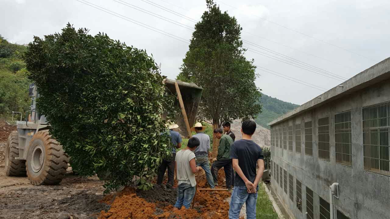 贵州沥青公路工程施工